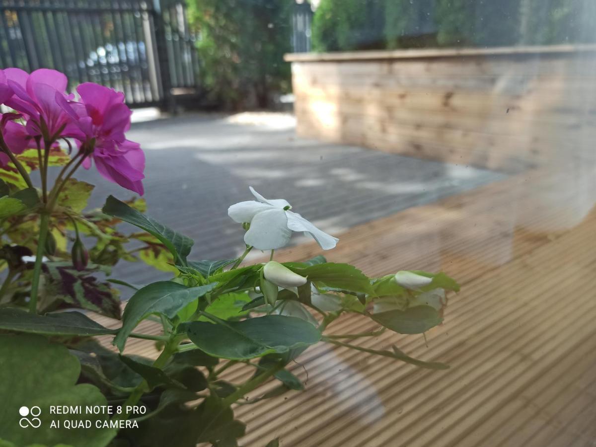 New Big Loft Apartments Jurmala With Free Secured Parking Eksteriør billede